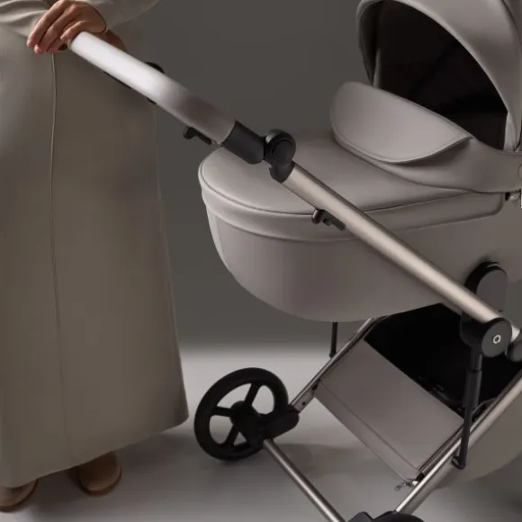 Anex Kinderwagen 2-in 1 Eli Secret