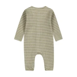 Dirkje Boxpak Light Faded Green 44