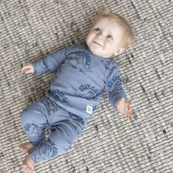 Feetje Willy Walrus Pyjama - Maat 56 - Blauw