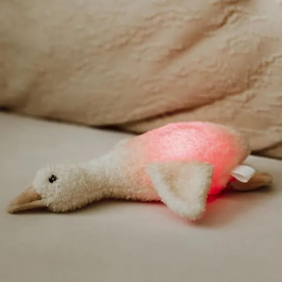 Flow Amsterdam Night Light Plush Liva