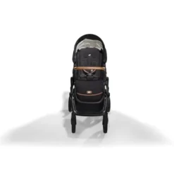 Joie Kinderwagen 4 In 1 Deluxe Vinca Eclipse