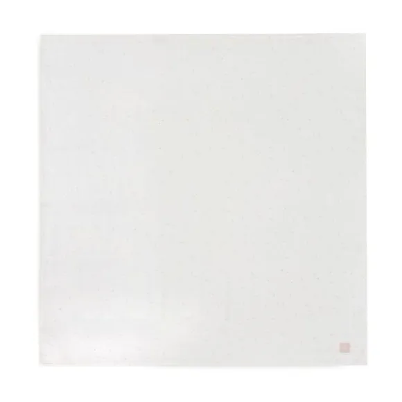 Jollein Twinkling Large Multidoek - 2 Pack - 115 x 115 cm - Hydrofiel - Wild Rose