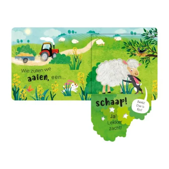 Lantaarn Kietel En Kriebel Een Varken