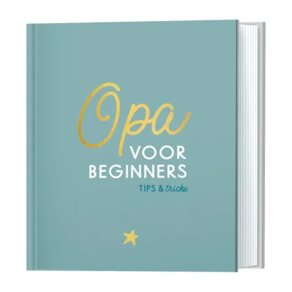 Lantaarn Opa Voor Beginners