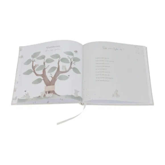 Little Dutch Babyboek 'Mijn eerste jaar' Baby Bunny FSC