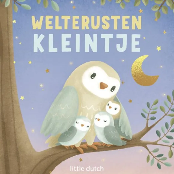 Little Dutch Boekje - Welterusten Kleintje