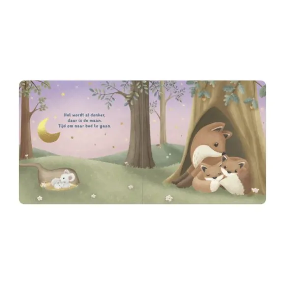 Little Dutch Boekje - Welterusten Kleintje