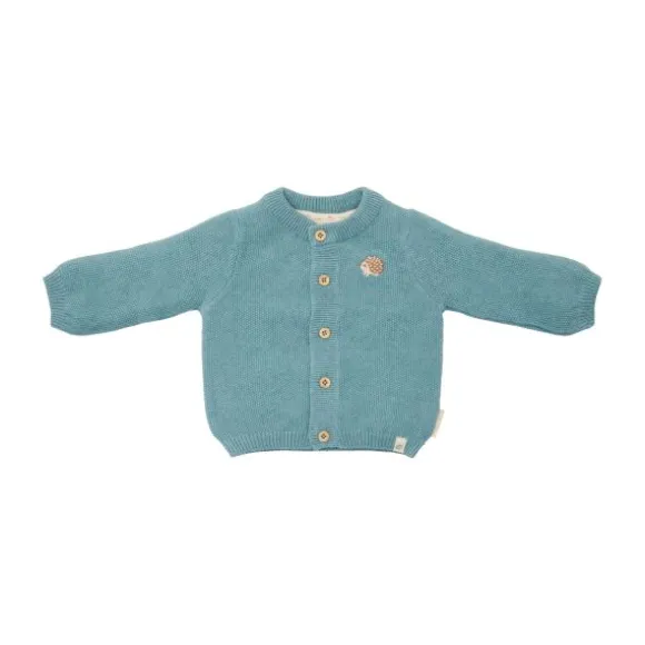 Little Dutch Vestje Gebreid - Maat 62 - Baby Blue