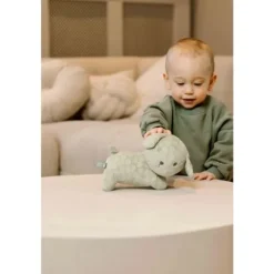 Nijntje Snuffie Knuffel - Green Flower - 25 cm